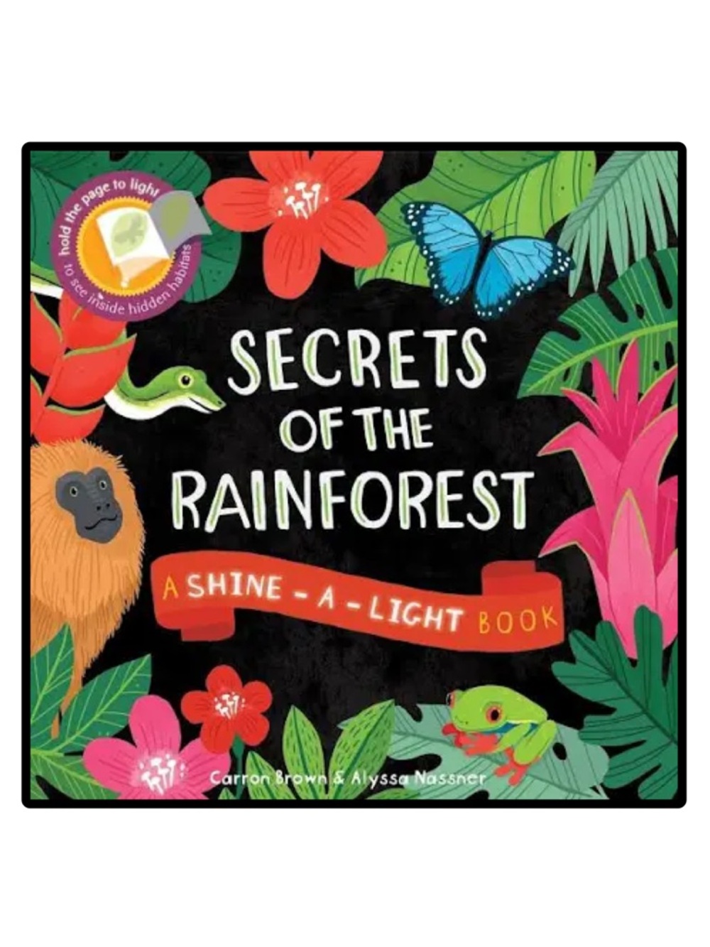 BUNDLE & SAVE 🌸Secrets of the Rainforest Children's Hardcover Shine a Light Book